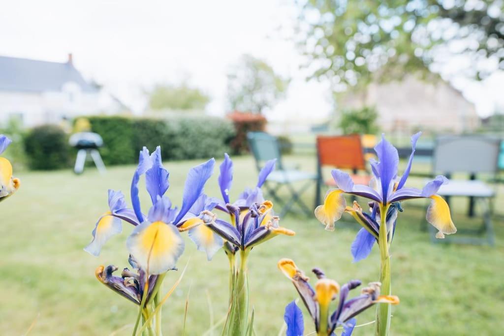 Le Beaumont • La Belle Campagne • La Plenitude Déols Exterior foto